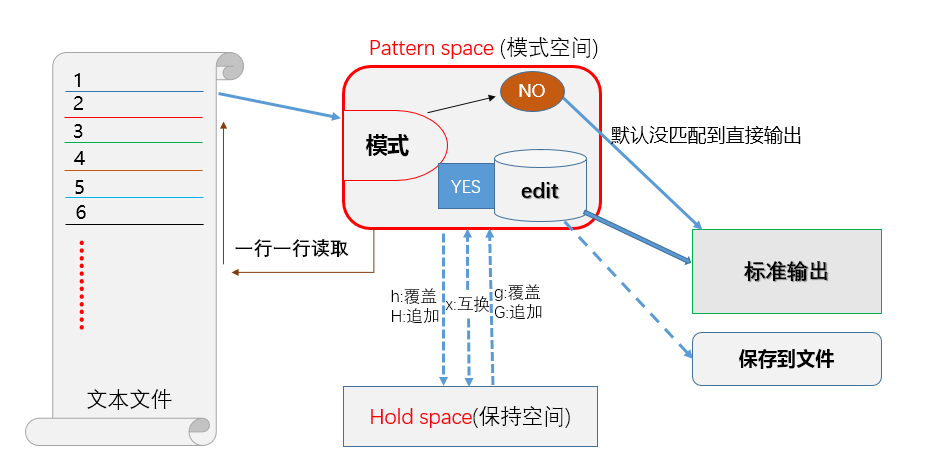 sed原理图